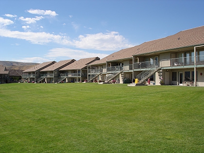 A large grassy area for playing or relaxing.